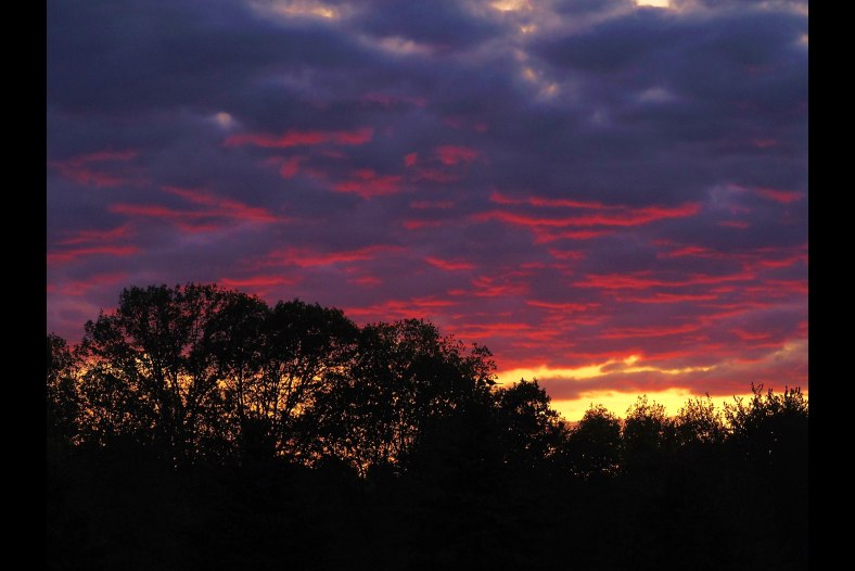 Evening Glow
